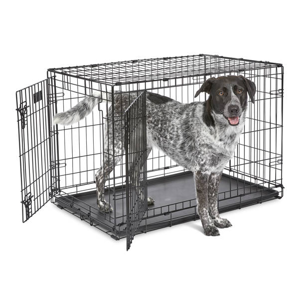 Tucker Murphy Pet™ Rosenblum Modular Kennel Cage Replacement Floor Tray